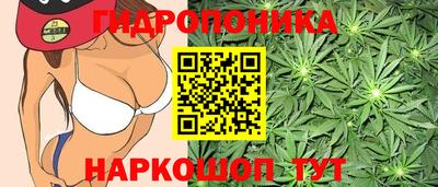 Альфа ПВП Туймазы