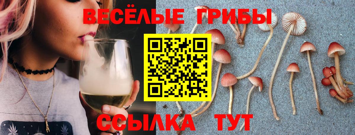 Псилоцибиновые грибы GOLDEN TEACHER  Вход с VPN  Богородск 